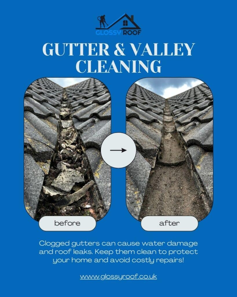 Gutter Cleaning