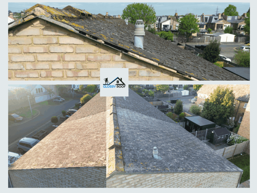 Moss Removal and Tile Coating