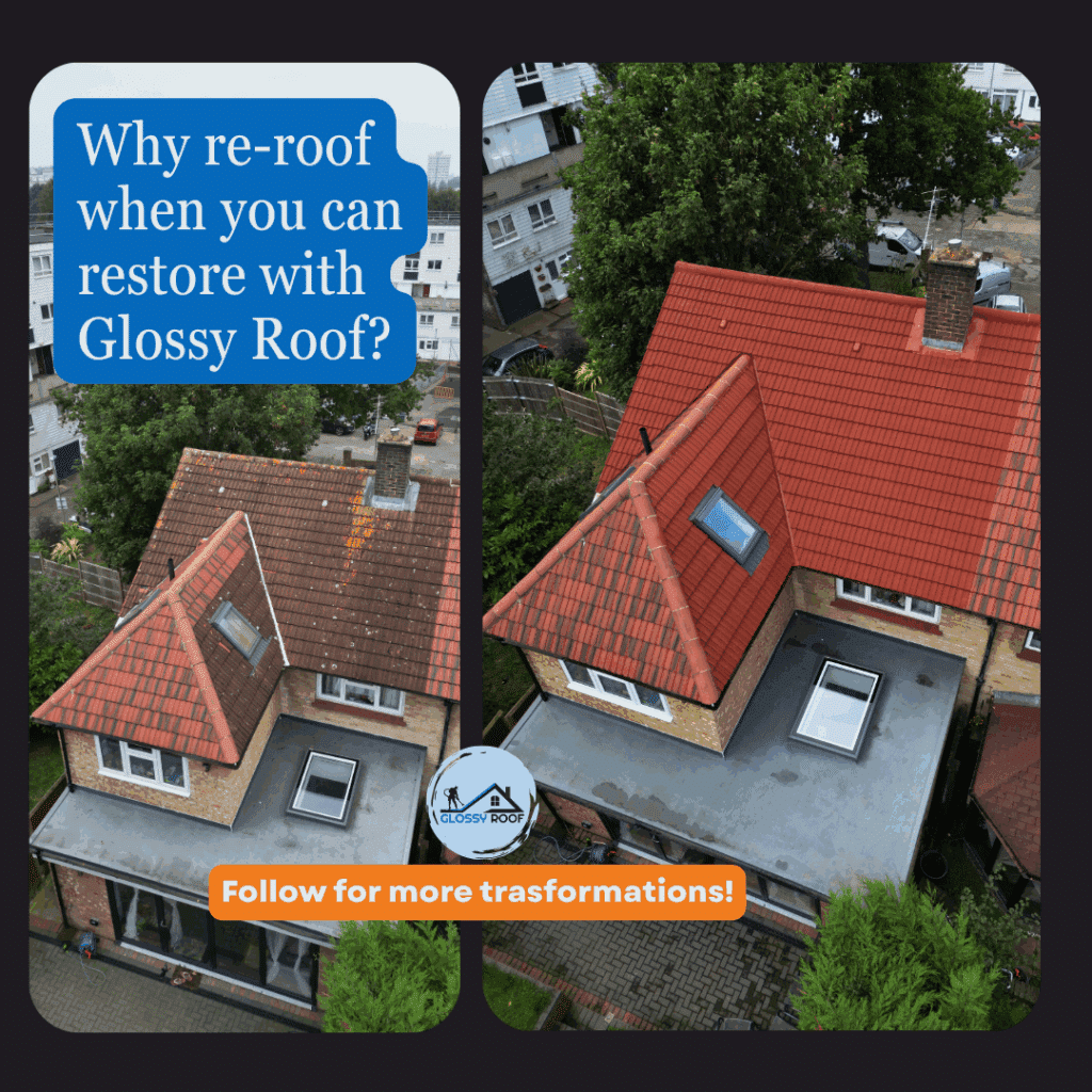 Roof Repair and Coating