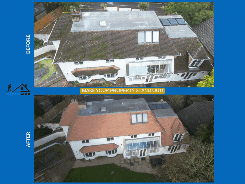 Roof Cleaning