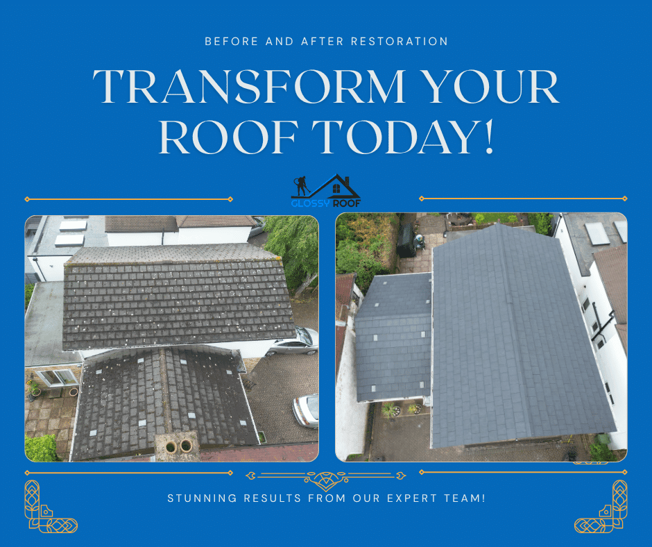 Roof Renovation