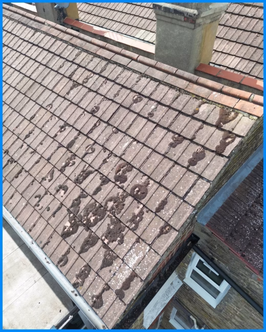 Roof Maintenance & Restoration15