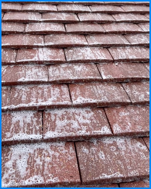 Roof tiles after cleaning: Biocide treatment applied to prevent regrowth
